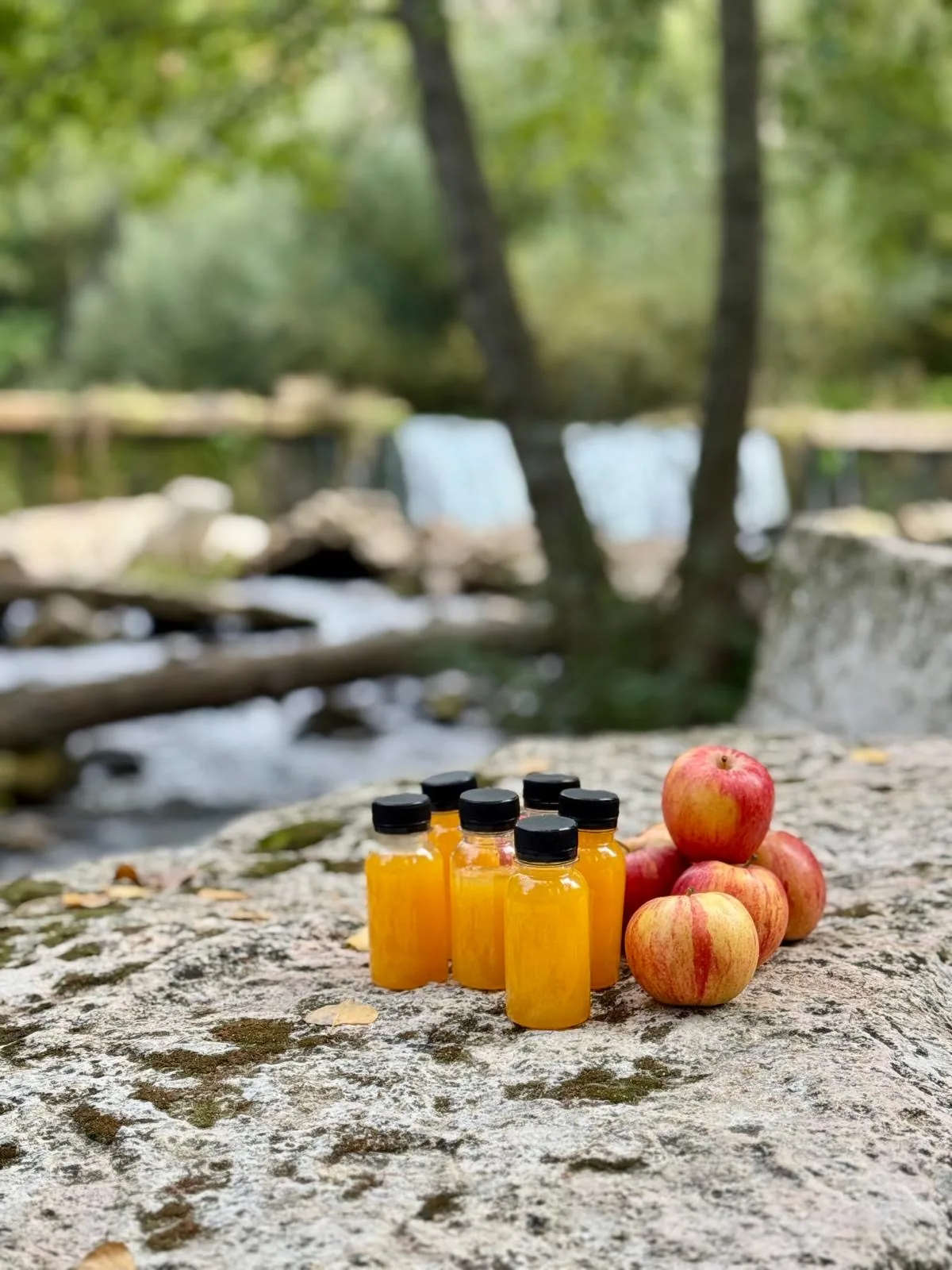 Zumo de manzana y manzanas de la merienda