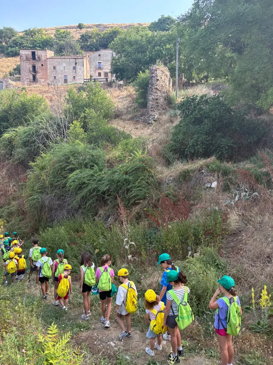 Campamento de verano ECUS