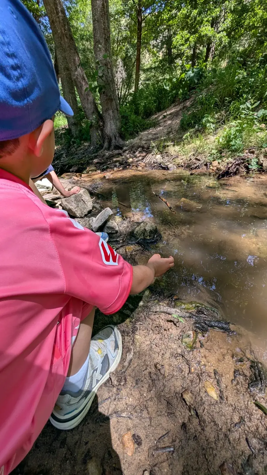 Niño observando un arroyo en el bosque