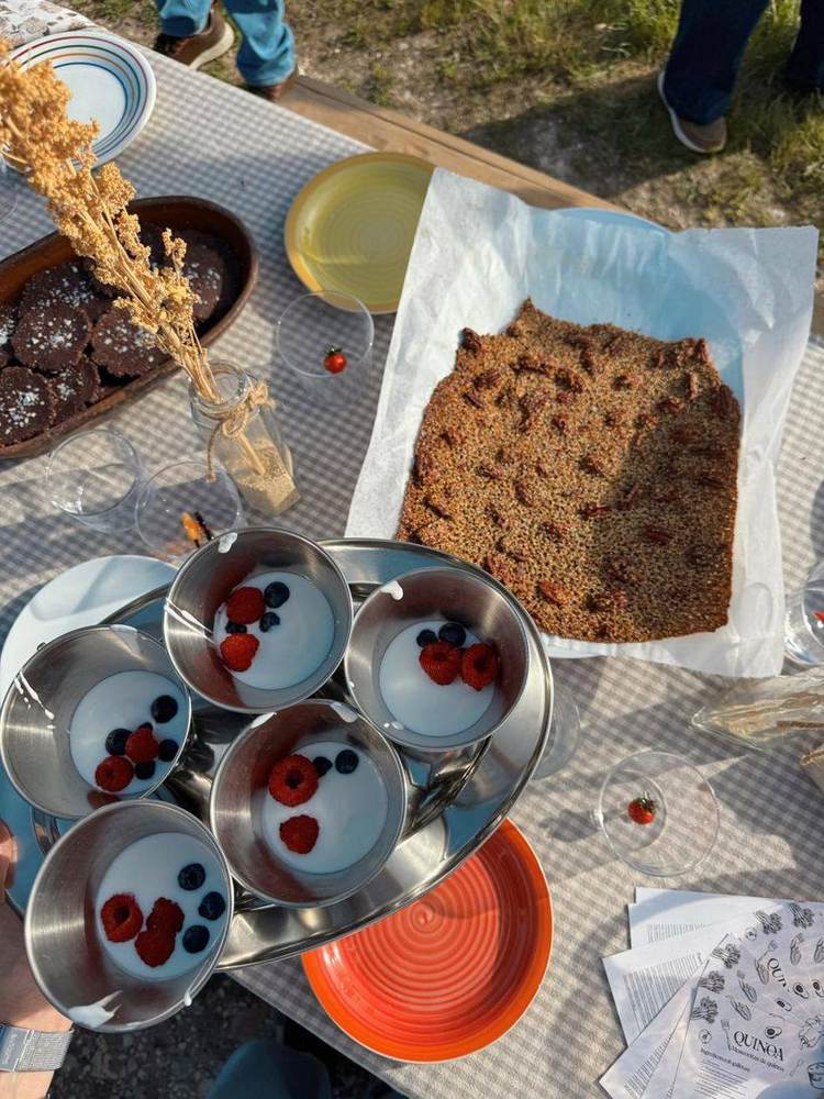 Postres con quinoa